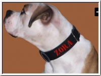 Individuelles Lederhalsband 3cm Breit